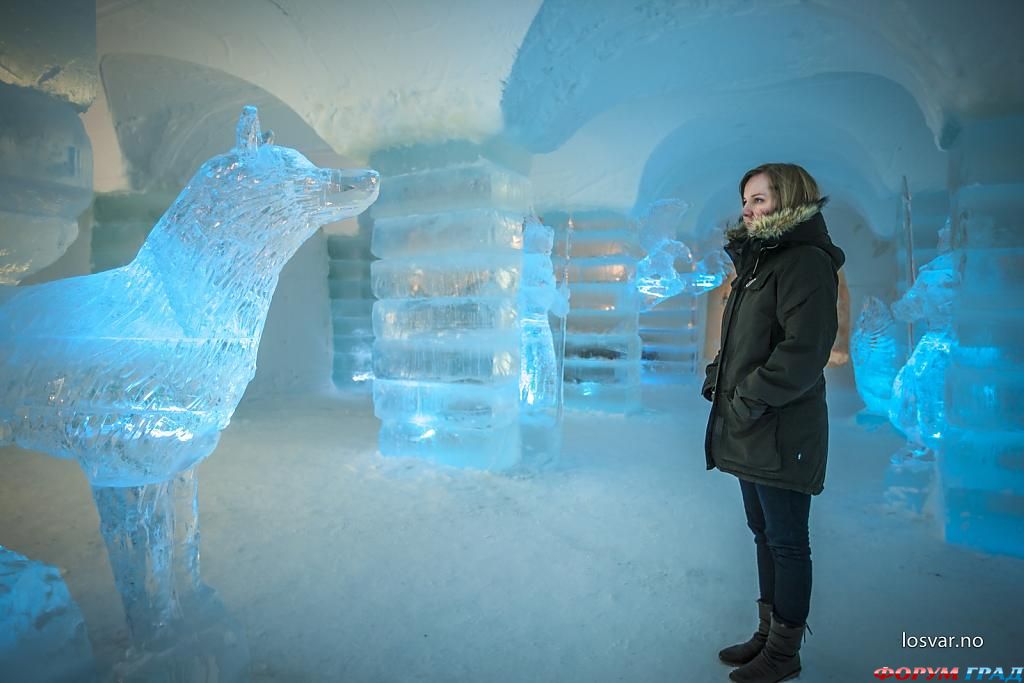 В отеле Sorrisniva Igloo