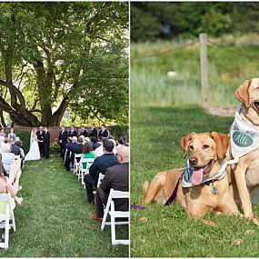 elegant-summer-virginia-wedding-13