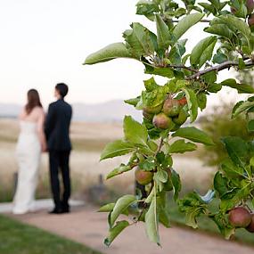 small-wedding-in-napa-california-38