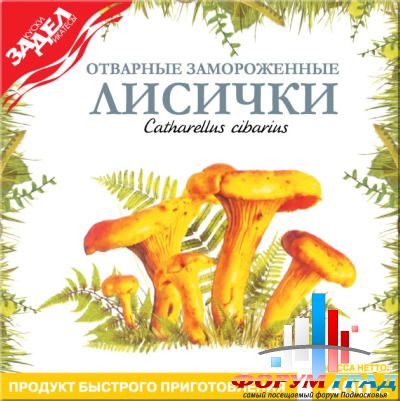 Boiled Frozen Catharellus Cibarius 400gr