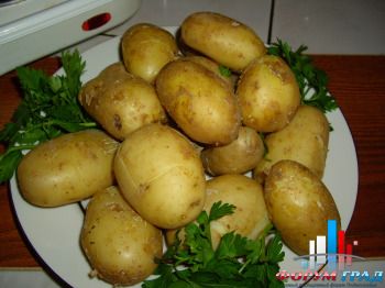 молодая картошка