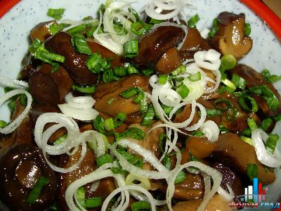 соленые грибочки