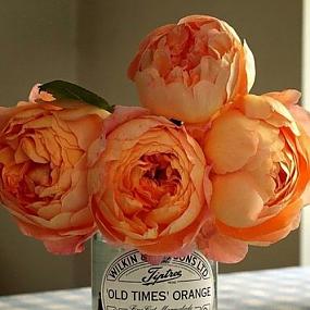cheery-orange-wedding-ideas-32