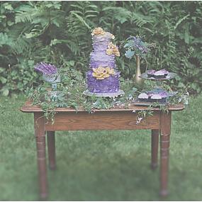 mists-of-avalon-wedding-52