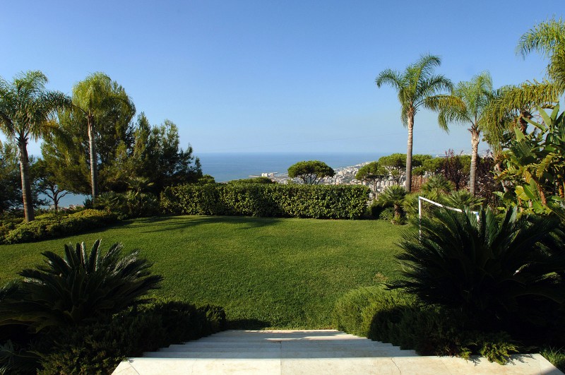 this-is-not-a-framed-garden-13