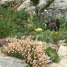 alpine-garden-05