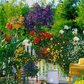 flowers-balcony-beautiful-garden-01