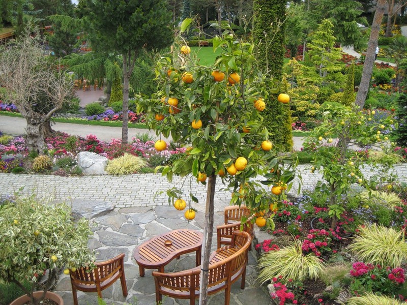 garden-eden-norway-07