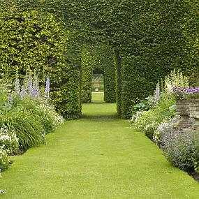 levens-hall-gardens-03