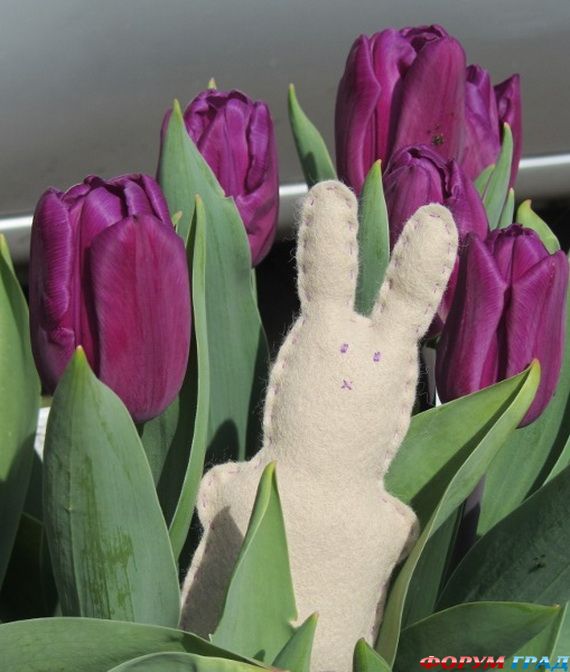 easter-bunny-20