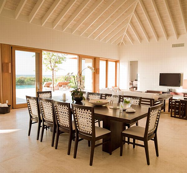 parrot-cay-turks-caicos-07