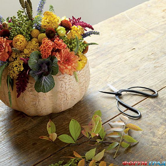 Белые тыквы