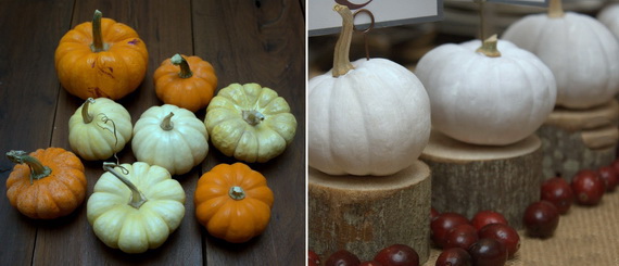 Белые тыквы