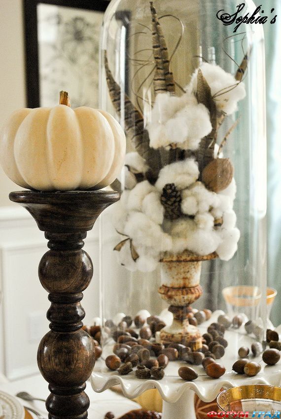 Белая тыква