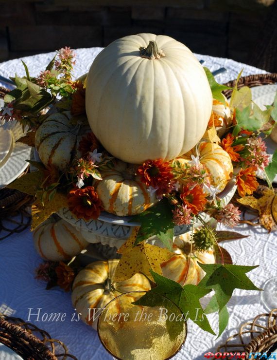 Белая тыква