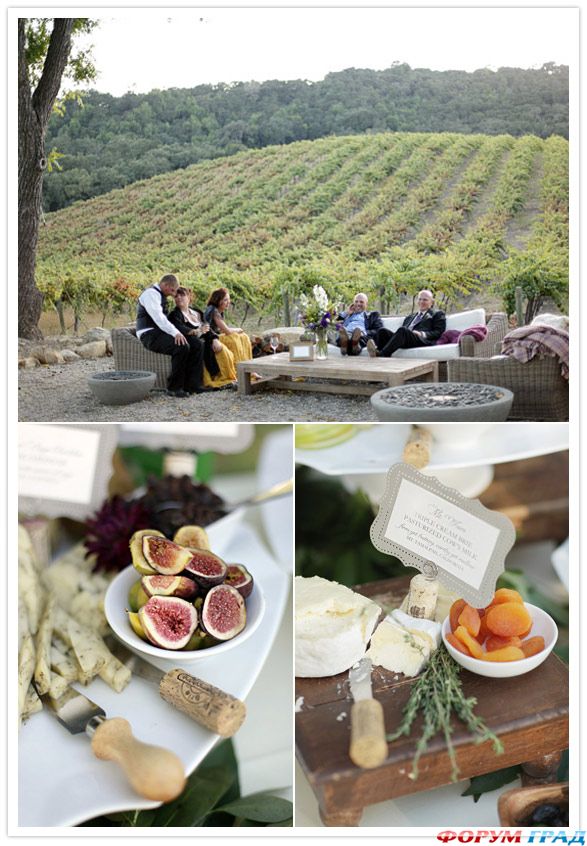 svadba sredi vinogradnikov.jpg7