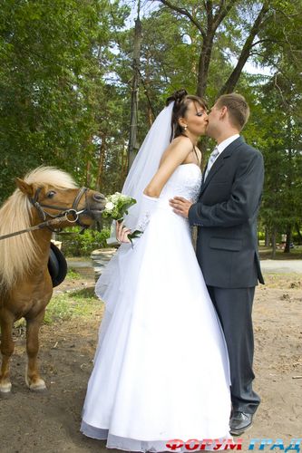 svadebniy pocelui1