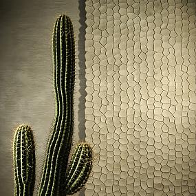 3d-surfaces-03