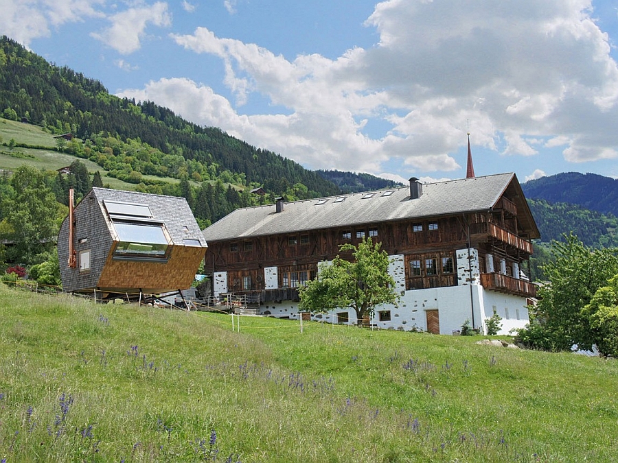 austria-ufogel-12