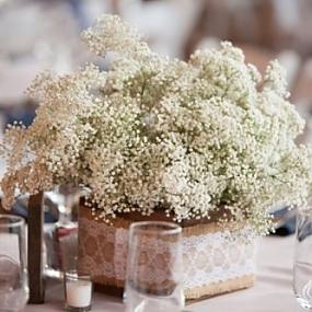 babys-breath-in-your-wedding-34