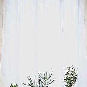 beautiful-indoor-plants-14