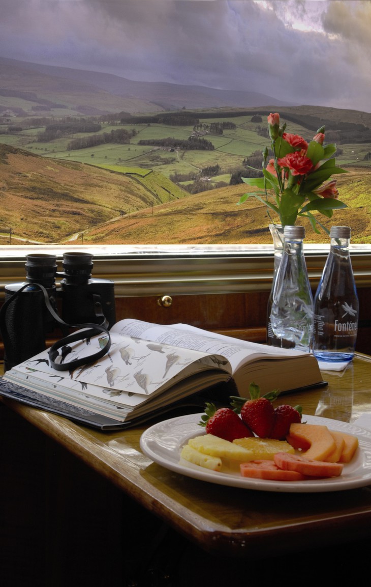 Книга и фрукты на столике отеля в поезде Blue Train