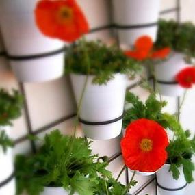 flowers-pots-ideas-02