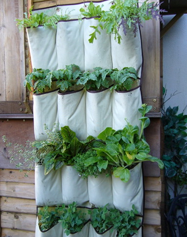 http://gallery.forum-grad.ru/files/8/3/1/1/3/flowers-pots-ideas-03.jpg
