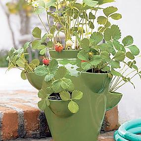 flowers-pots-ideas-08