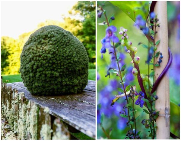 garden-inspiration-ideas-01