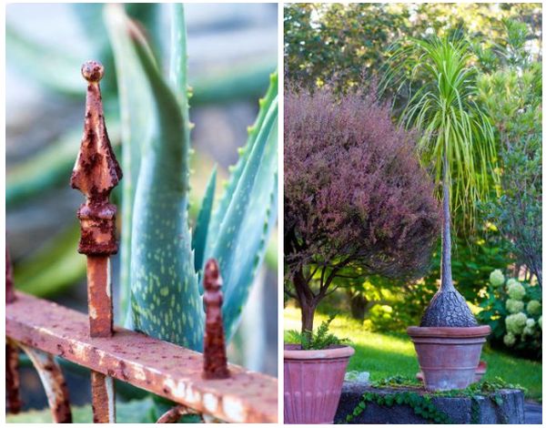 garden-inspiration-ideas-05