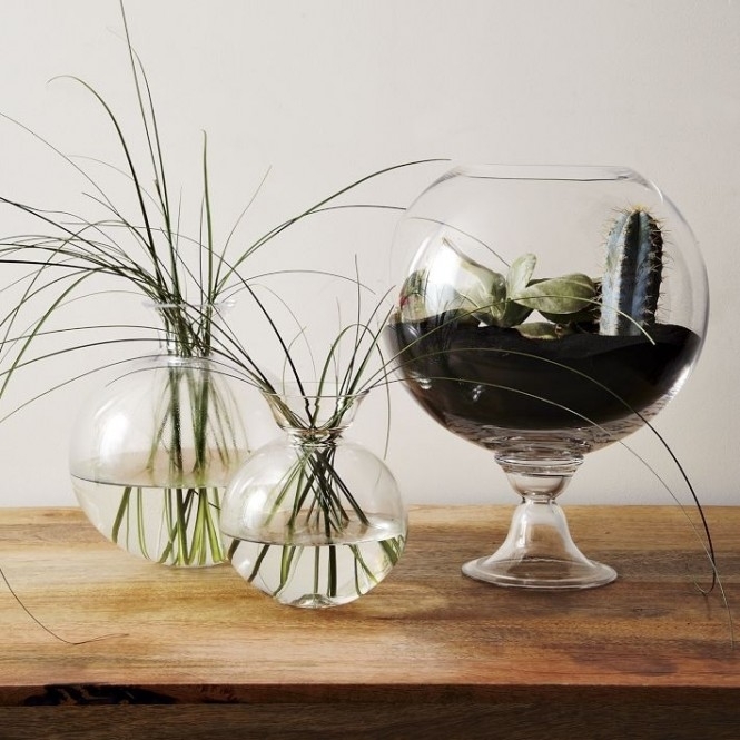 green-island-terrariums-cacti-08