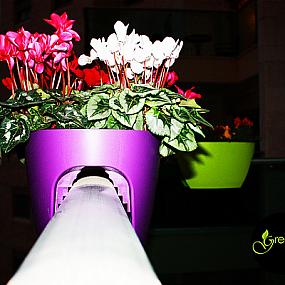 greenbo-railing-planters-07