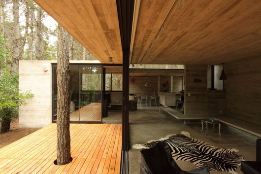 Интерьер резиденции JD House от фирмы BAK Architects в Аргентине