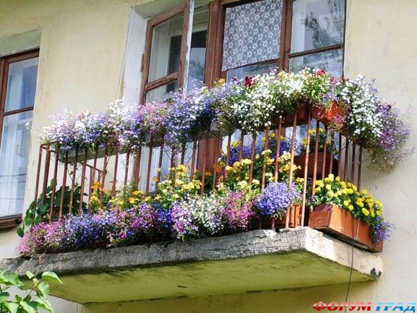 kak-ukrasit-balkon-tsvetami-04