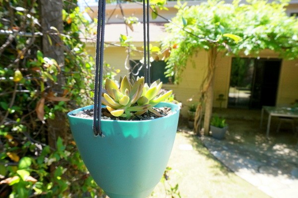 modern-diy-hanging-planter-03