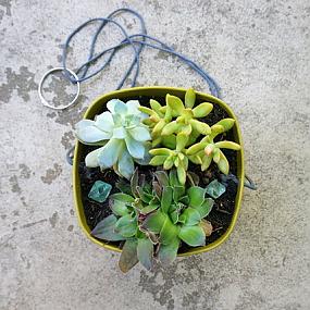 modern-diy-hanging-planter-18