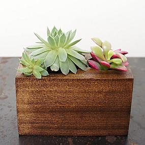 modern-planters-07