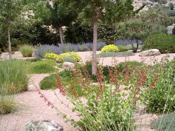 modern-xeriscaping-03