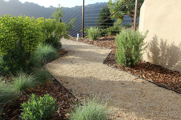 modern-xeriscaping-05