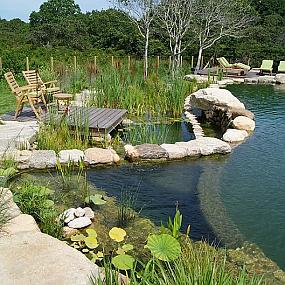 natural-swimming-pools-11