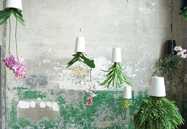new-gardening-ideas-11