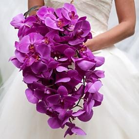 radiant-orchid-wedding-01