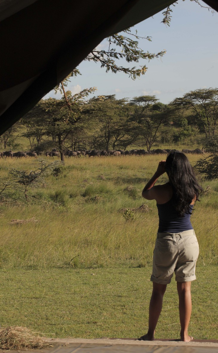 Дикие животные в саванне Кении