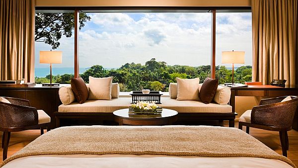 safari-theme-12