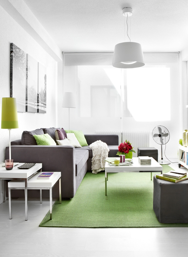 sovremennaya-malenkaya-kvartira-05