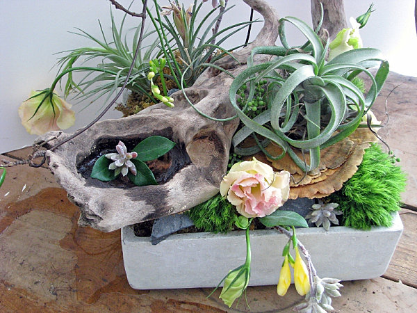 succulent-planter-10