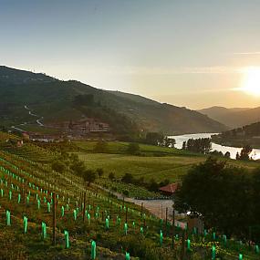 the-aquapura-douro-valley-47