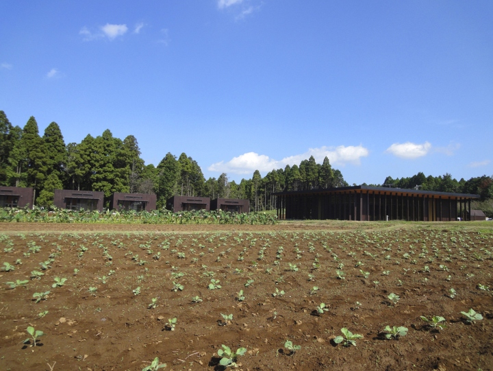 the-farm-02