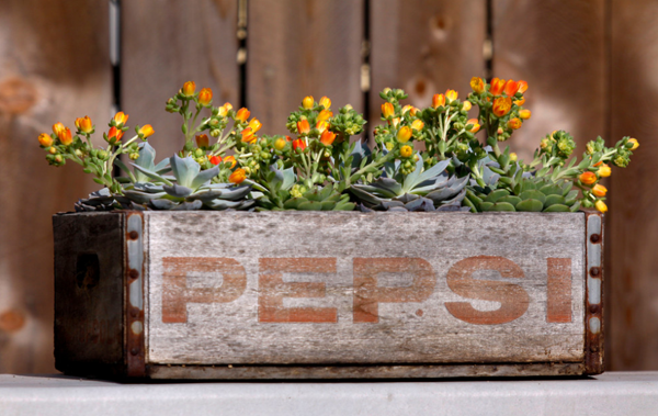 upcycle-into-planter-05